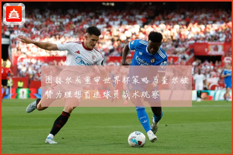 图赫尔或重审世界杯策略马奎尔被赞为理想首选球员战术观察