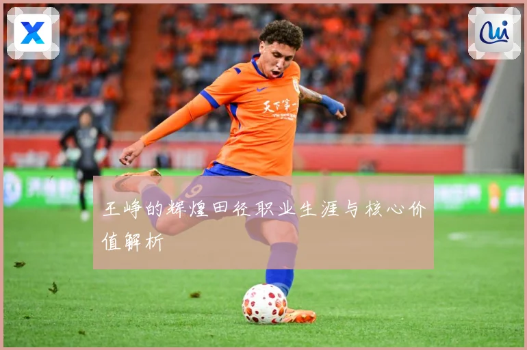 王峥的辉煌田径职业生涯与核心价值解析