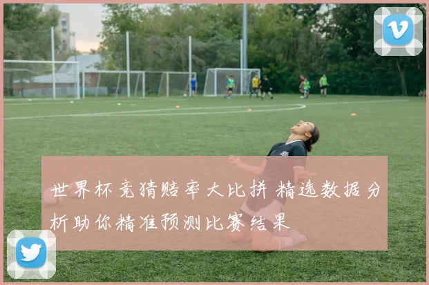 世界杯竞猜赔率大比拼 精选数据分析助你精准预测比赛结果